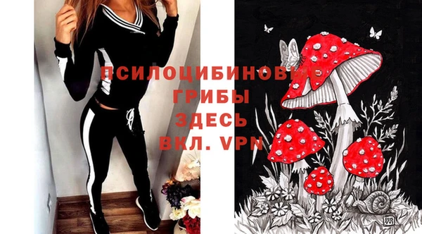 первитин Алексеевка