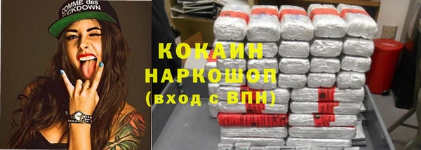 прущие грибы Арсеньев